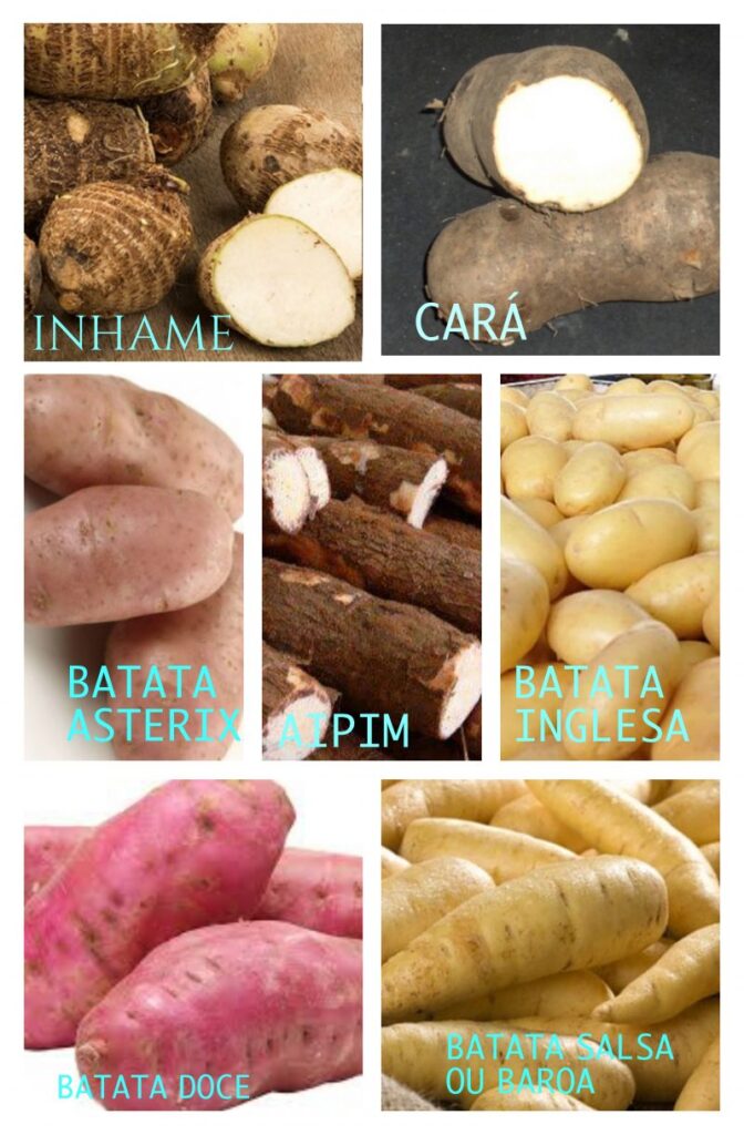 TIPOS DE BATATA Endocrinologista Dr José Albino